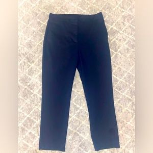 Zara simple navy pant straight leg ankle length XL